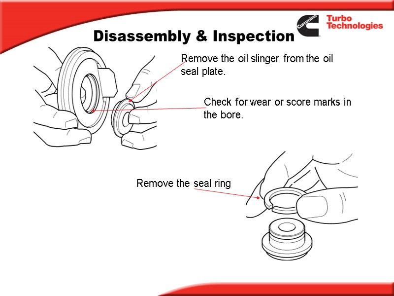Disassembly & Inspection Remove the oil slinger from the oil seal plate. Check for